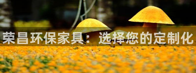 意昂5(KGAME)平台线路