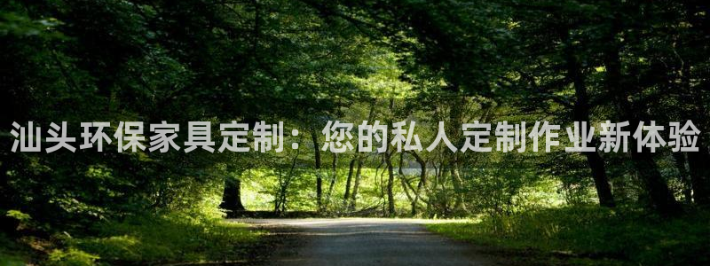 意昂5(KGAME)开户app下载：汕头环保家具定制：您的私