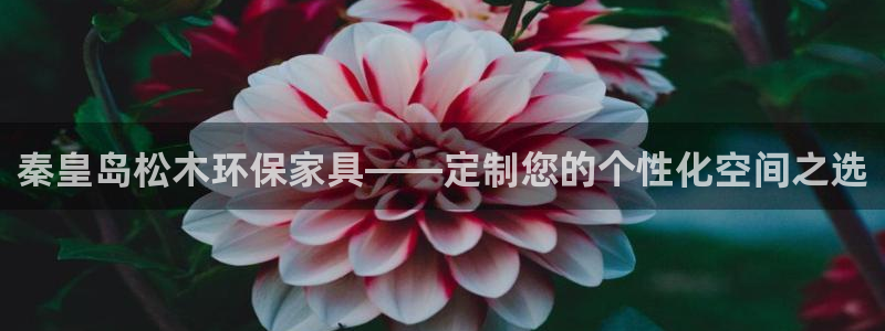 意昂5(KGAME)注册登入：秦皇岛松木环保家具——定制您的