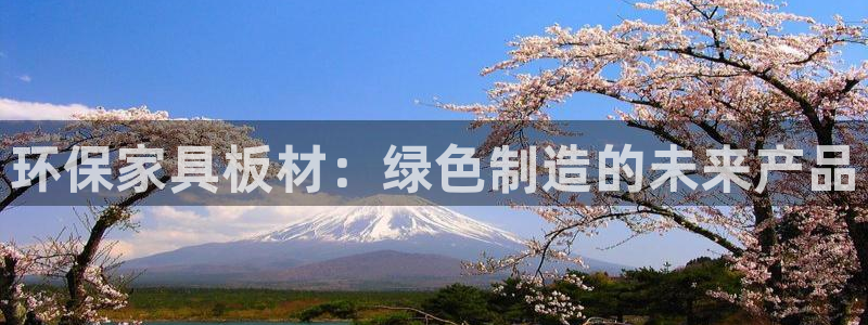 意昂5(KGAME)注册代理：环保家具板材：绿色制造的未来产