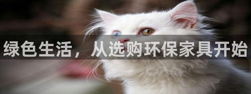 意昂5(KGAME)手机客户端：绿色生活，从选购环保家具开始