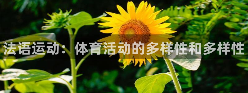 中欧体育网页版
