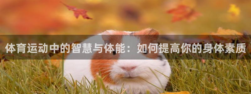 中欧体育网站：体育运动中的智慧与体能：如何提高你的身体素质