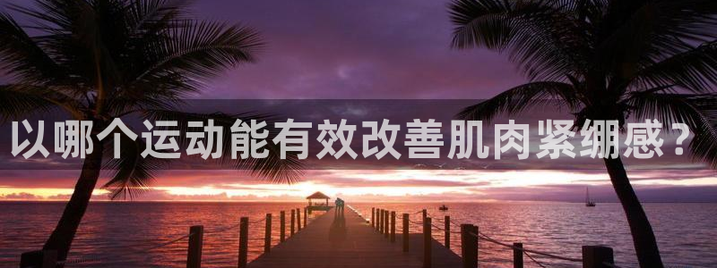 中欧体育集团