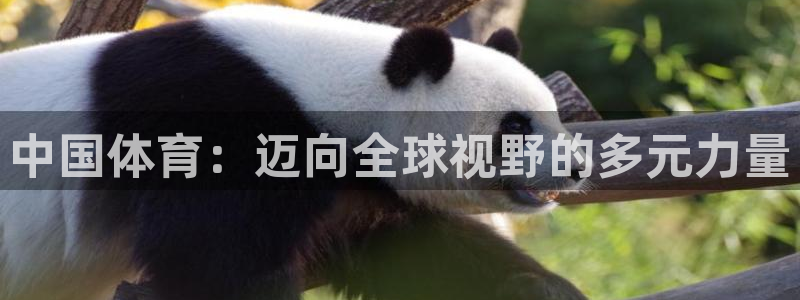 zoty中欧体育平台