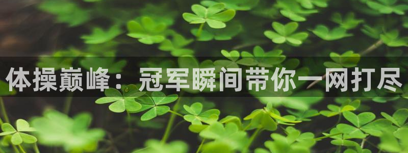 中欧体育网址