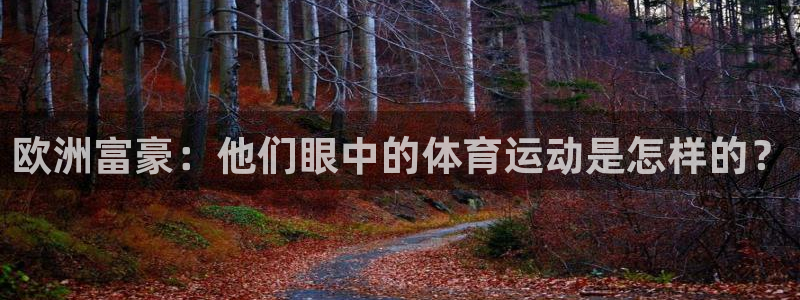 中欧体育官网入口