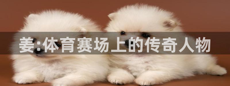 中欧体育