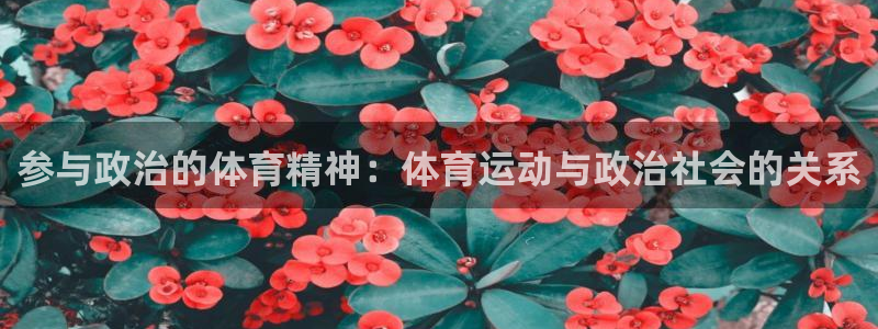 中欧体育zoty下载：参与政治的体育精神：体育运动与政治社会的关系