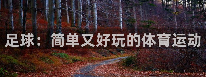 zoty中欧体育网址多少：足球：简单又好玩的体育运动