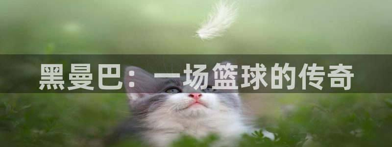 中欧体育kok官网首页：黑曼巴：一场篮球的传奇