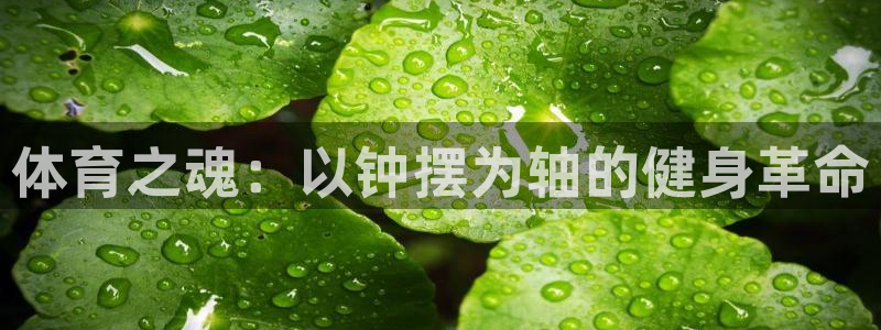 中欧体育kok：体育之魂：以钟摆为轴的健身革命