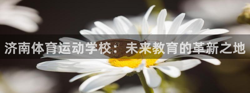 kok中欧体育登录：济南体育运动学校：未来教育的革新之地