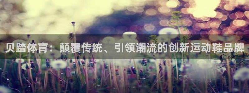 zyty中欧体育平台：贝踏体育：颠覆传统、引领潮流的创新运动鞋品牌