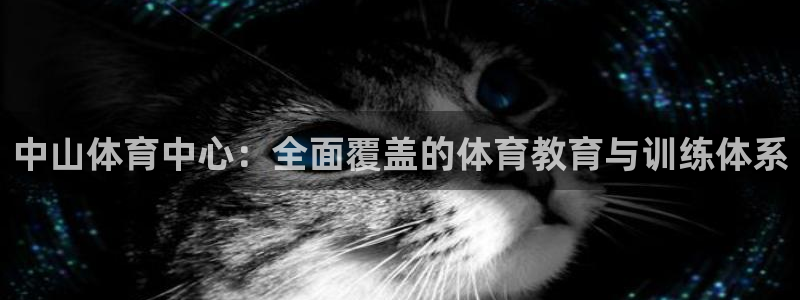 中欧体育下载：中山体育中心：全面覆盖的体育教育与训练体系