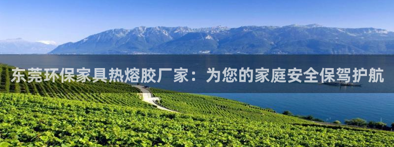 意昂5(KGAME)测速网址电脑版：东莞环保家具热熔胶厂家：