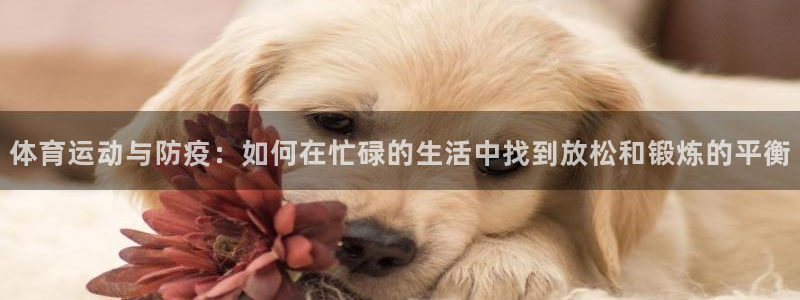 中欧体育下载：体育运动与防疫：如何在忙碌的生活中找到放松和锻炼的平衡